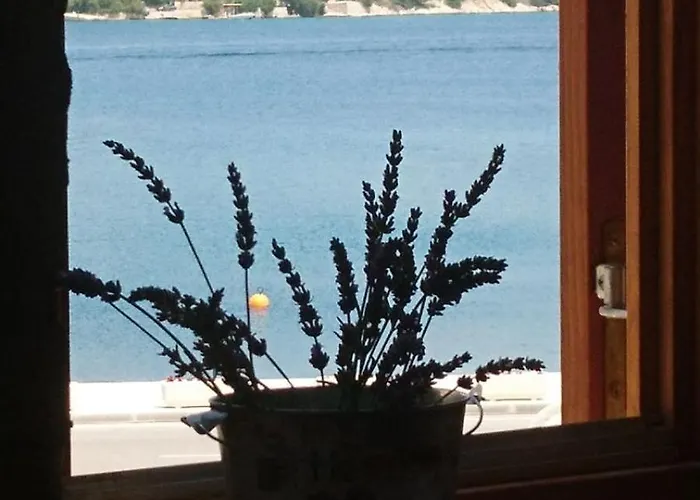 Vidacak * Тисно