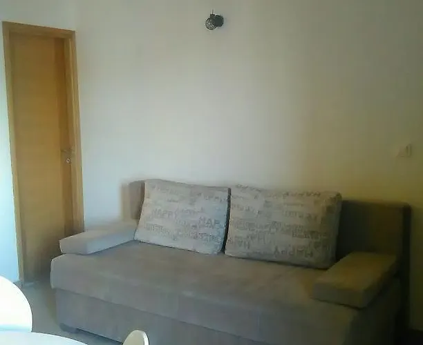 Vidacak 公寓 迪斯诺