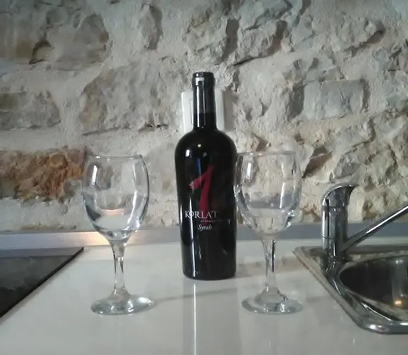 Vidacak 公寓 迪斯诺